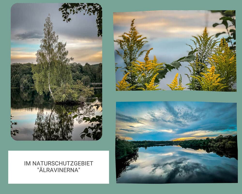 Dalarna - Abendliche Idylle im Naturschutzgebiet &Auml;lravinerna in Borl&auml;nge