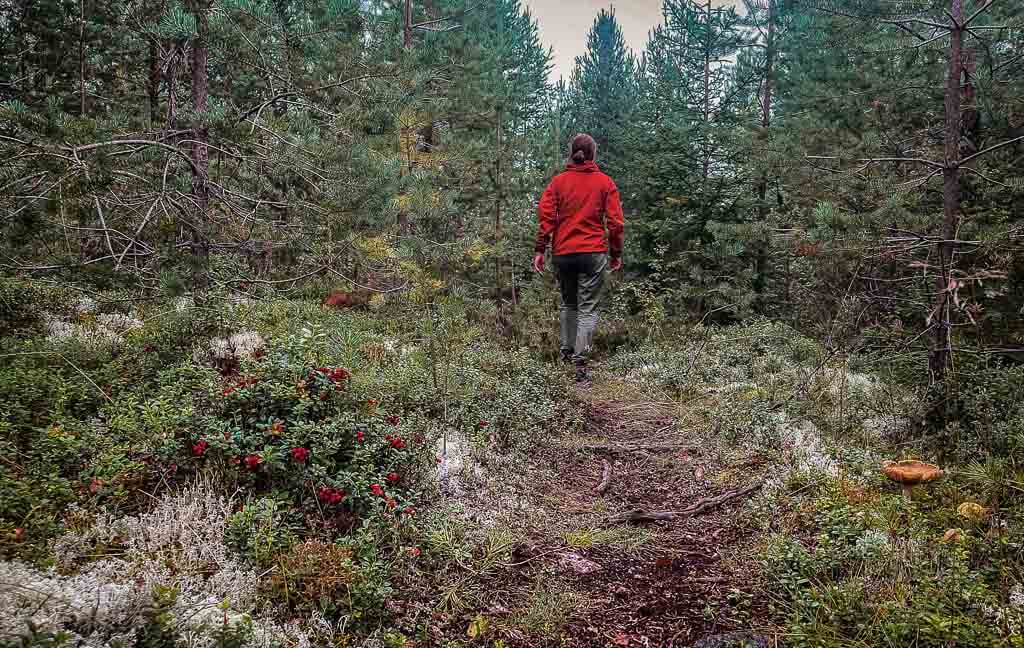 Dalarna - Wandern auf dem Siljansleden bei Furudal mit Couchflucht