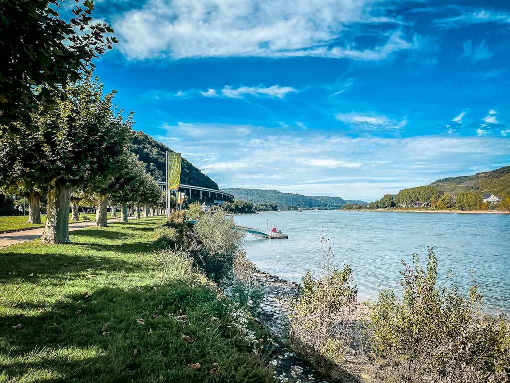 Rheinradweg an den Rheinanlagen in Andernach am Romantischen Rhein