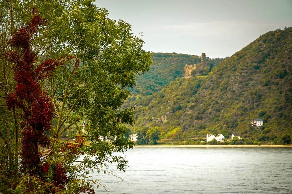 Burg Katz und Maus im Mittelrheintal bei St. Goarshausen