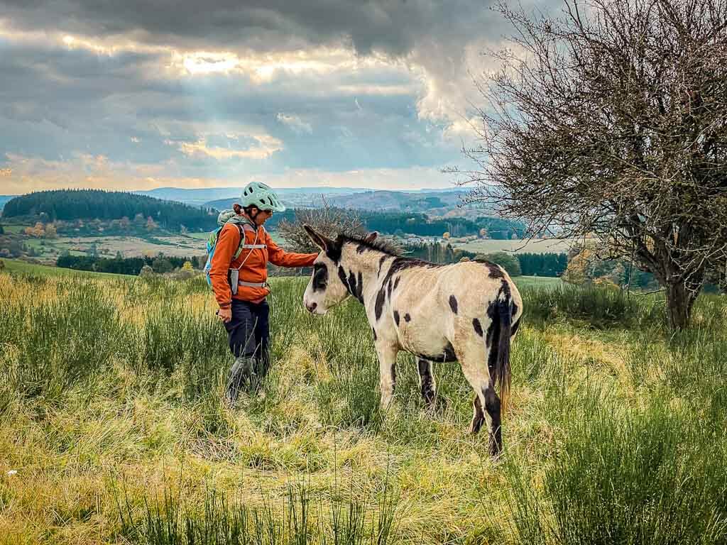 Couchflucht Sabrina Bechtold mit Esel auf dem M&auml;useberg in der Vulkaneifel