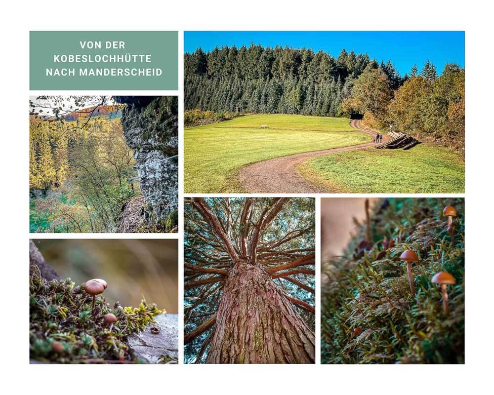 Wandern auf dem Lieserpfad von Sporthotel Grafenwald in Daun nach Manderscheid in der Vulkaneifel