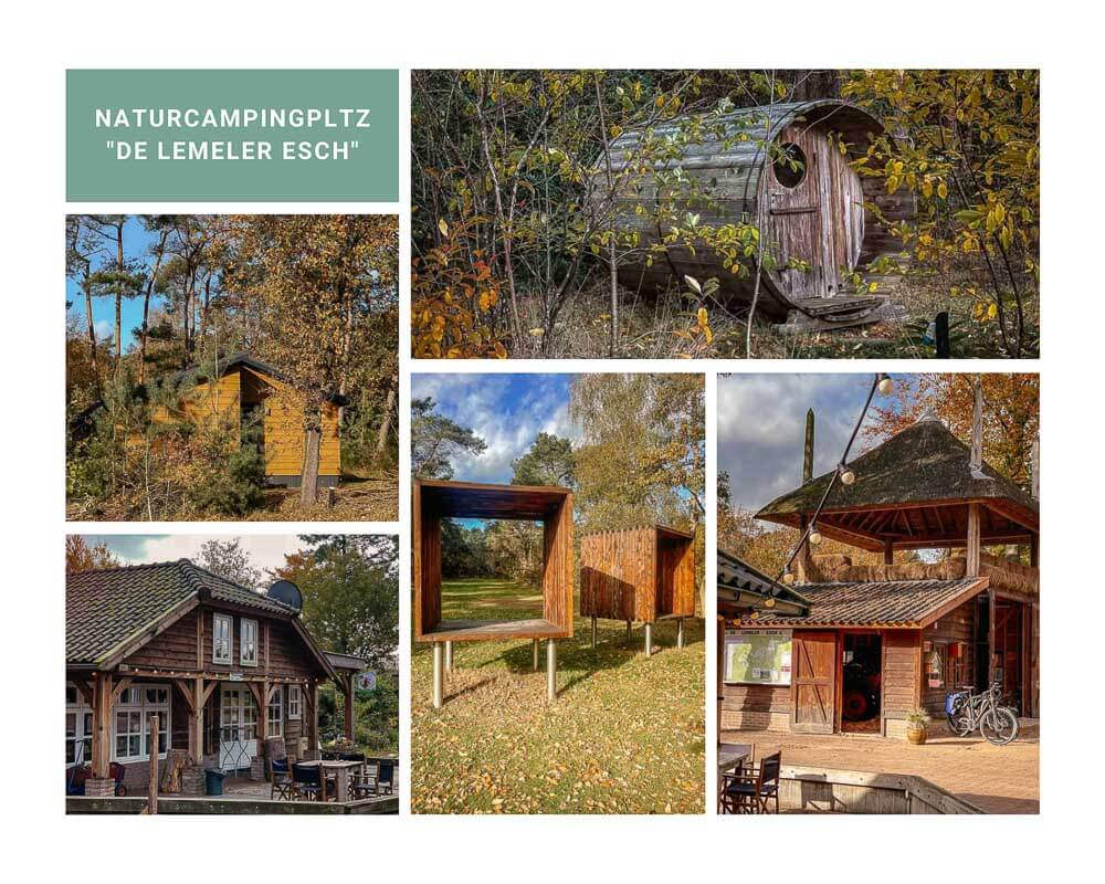 Naturcampingplatz De Lemeler Esch im Nationalpark De Sallandse Heuvelrug