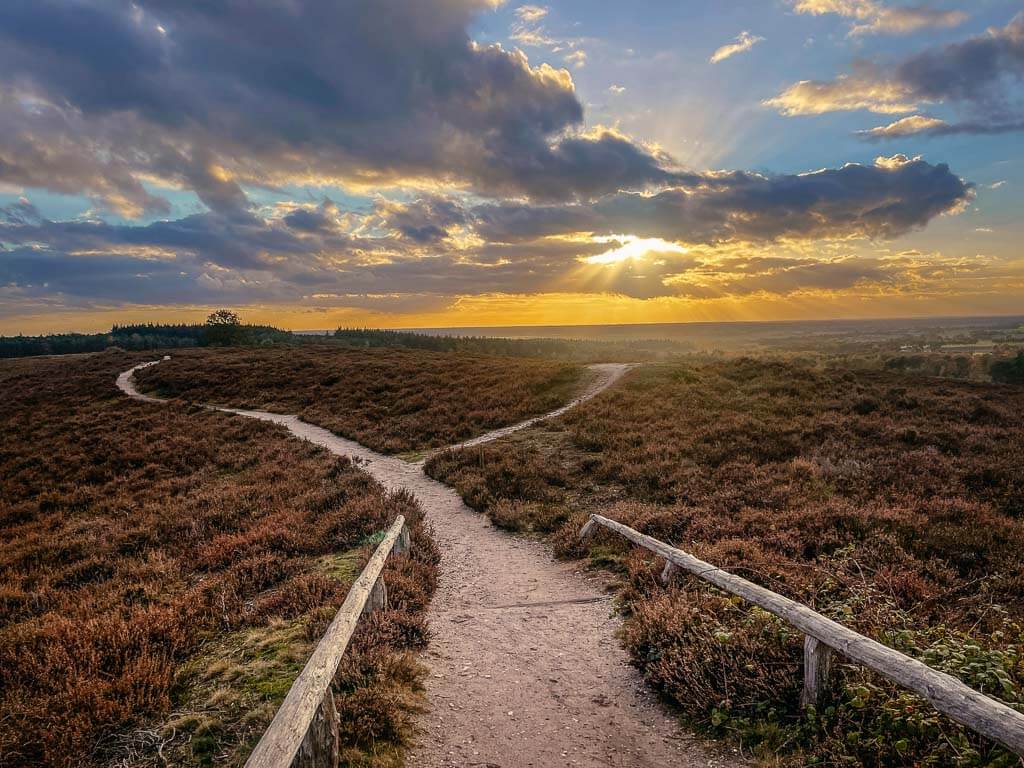 Sallandse Heuvelrug - Wandern in der Abendd&auml;mmerung am Archemerberg