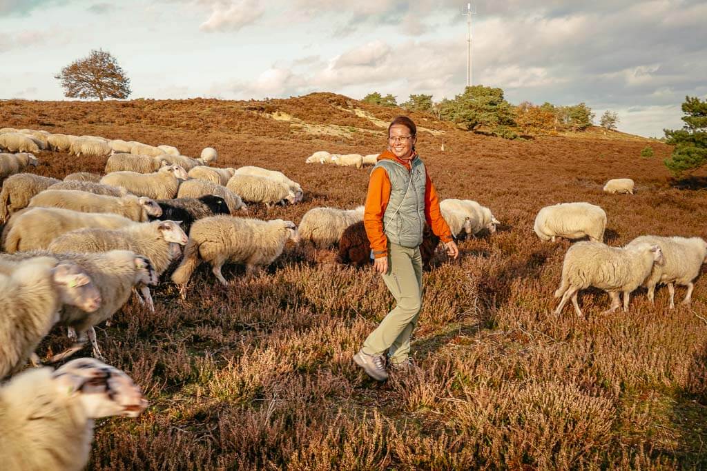 Couchflucht Sabrina Bechtold mit Schafherde am Archemerberg