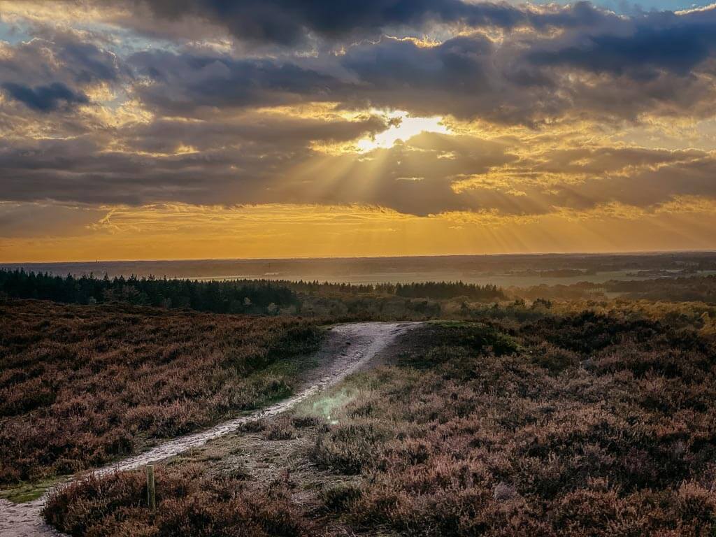 Sallandse Heuvelrug - Sonnenuntergang in der Heidelandschaft am Archemerberg
