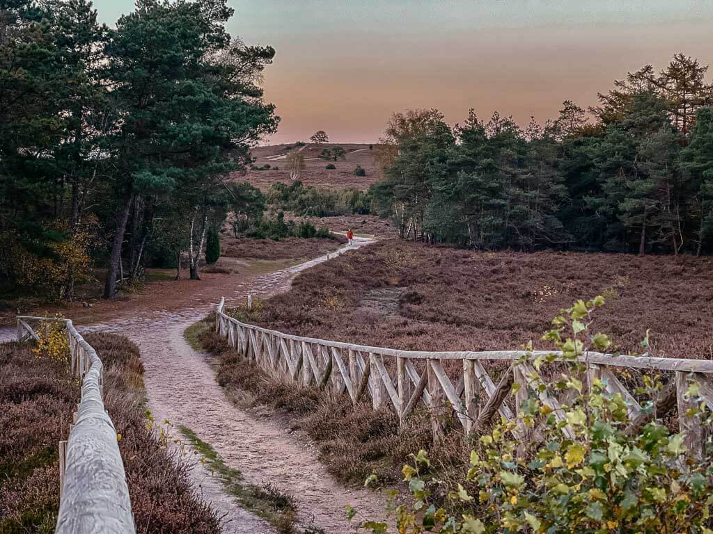 Sallandse Heuvelrug - Wanderweg zum Aussichtspunkt am Archemer Berg