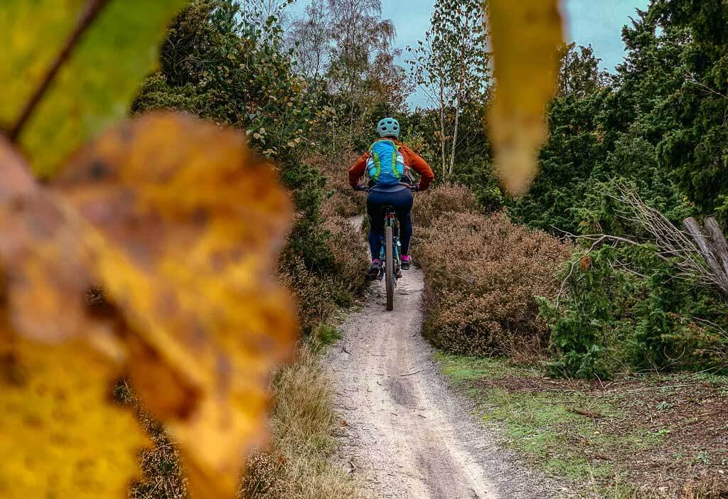 Sallandse Heuvelrug Mountainbiken mit Couchflucht auf den Trails am Lemelerberg