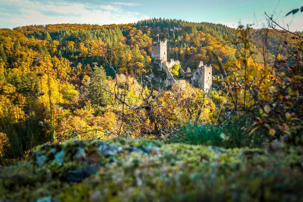 Wandern in der Vulkaneifel mit Panorama der Manderscheider Niederburg