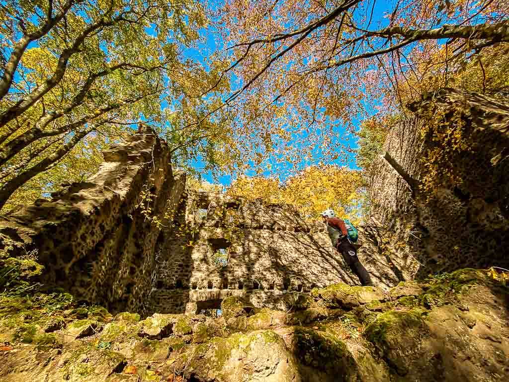 &Uuml;berreste der alten Burgruine Freudenkoppe am Nerother Kopf in der Vulkaneifel