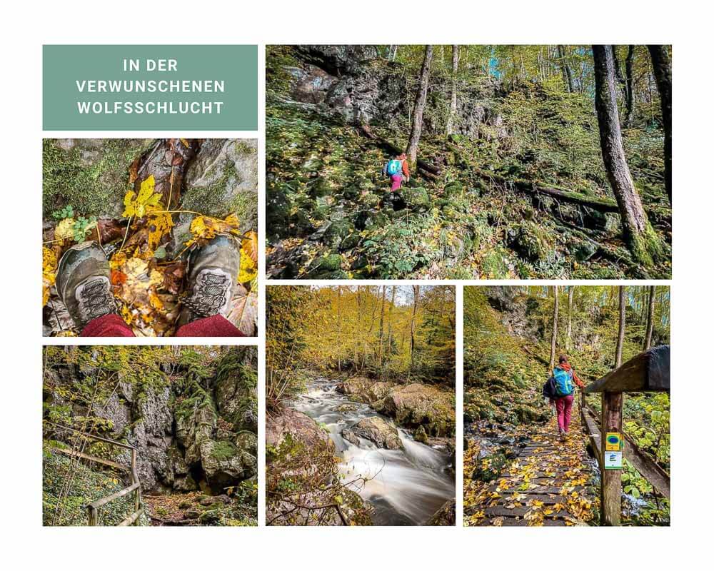 Wandern in der Vulkaneifel durch die Wolfsschlucht auf dem VulkaMaar-Pfad