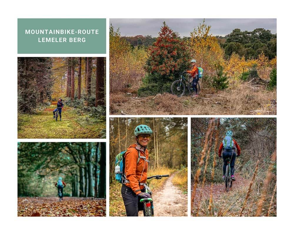 Mountainbike-Route am Lemelerberg und Archemerberg.