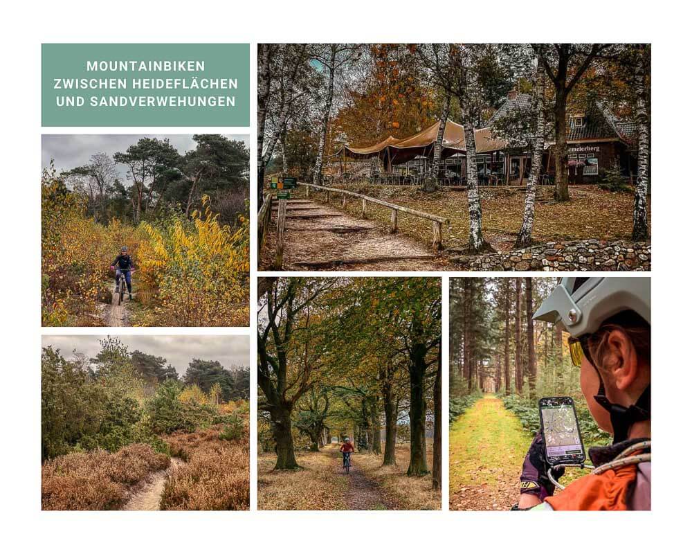 Sallandse Heuvelrug - Mountainbiken am Archemerberg und Lemelerberg