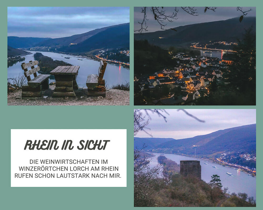 Blick auf den Rhein und Lorch vom Wispertaunussteig