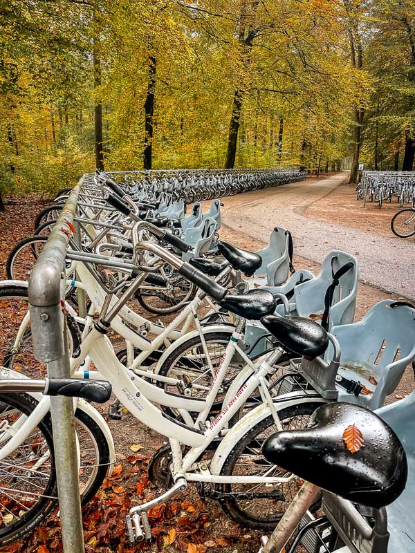 Die wei&szlig;en Fahrr&auml;der im De Hoge Veluwe Nationalpark