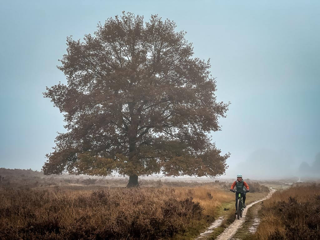 Couchflucht Sabrina Bechtold beim Mountainbiken in der Ermeloschen Heide