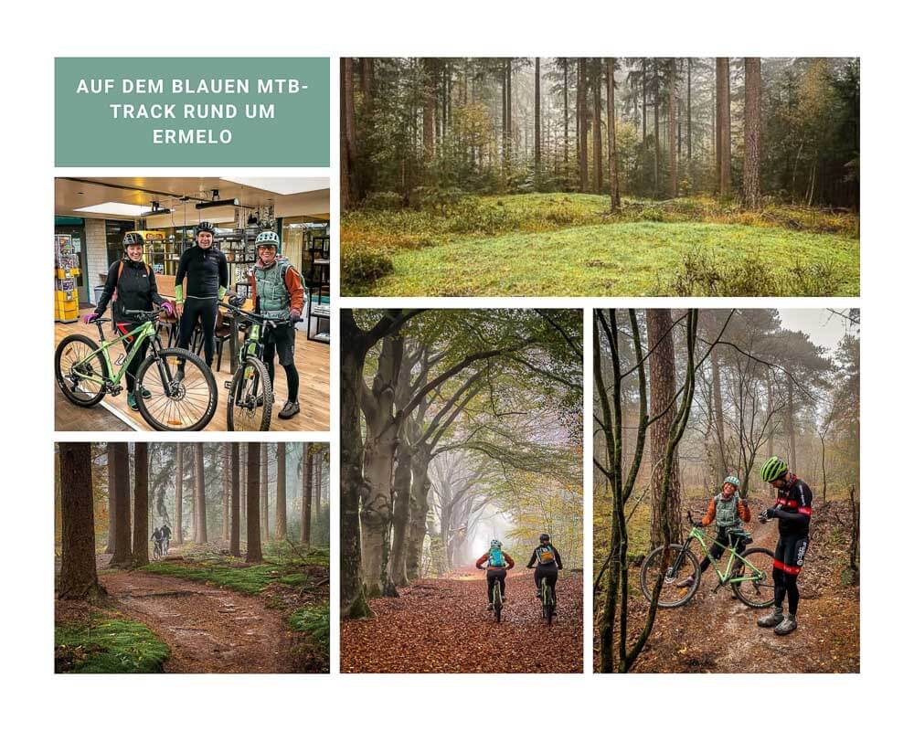 Mountainbiken in der Veluwe rund um Ermelo