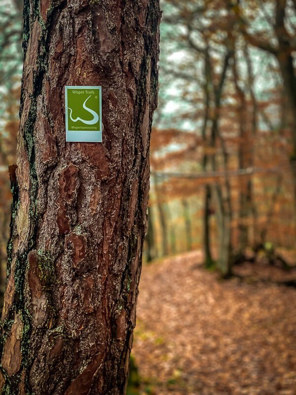 Gr&uuml;ne Markierung des Wispertaunussteigs