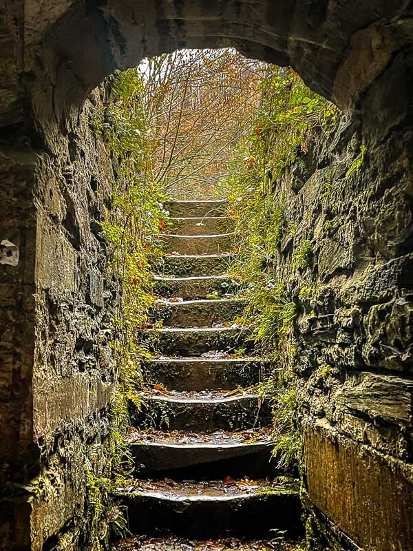 Treppe hinab zum historischen Werkerbrunnen im Sauerbornbachtal