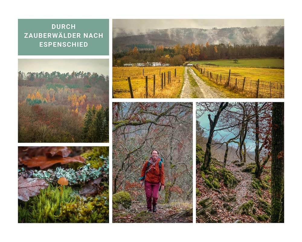 Wandern auf dem Wispertaunussteig mit Couchflucht Sabrina Bechtold von Kemel nach Espenschied