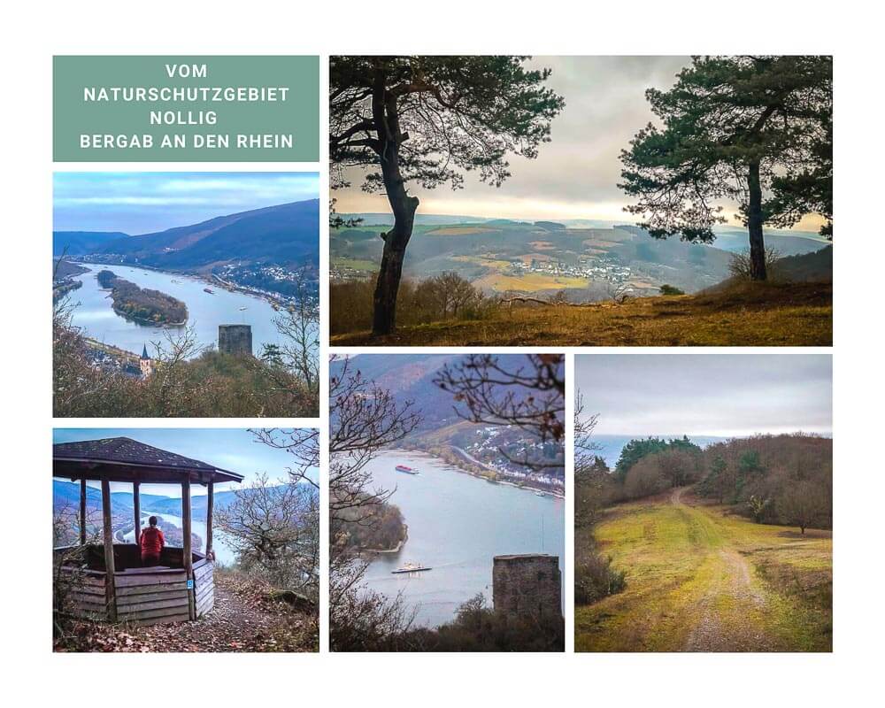 Wandern auf dem Wispertaunussteig vom Naturschutzgebiet Nollig nach Lorch am Rhein