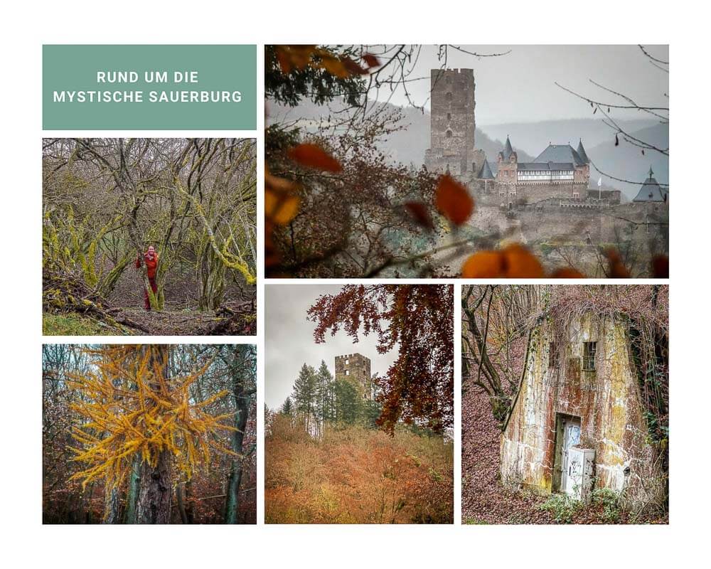 Wandern auf dem Wispertaunussteig im Taunus an der Sauerburg im Mittelrheintal