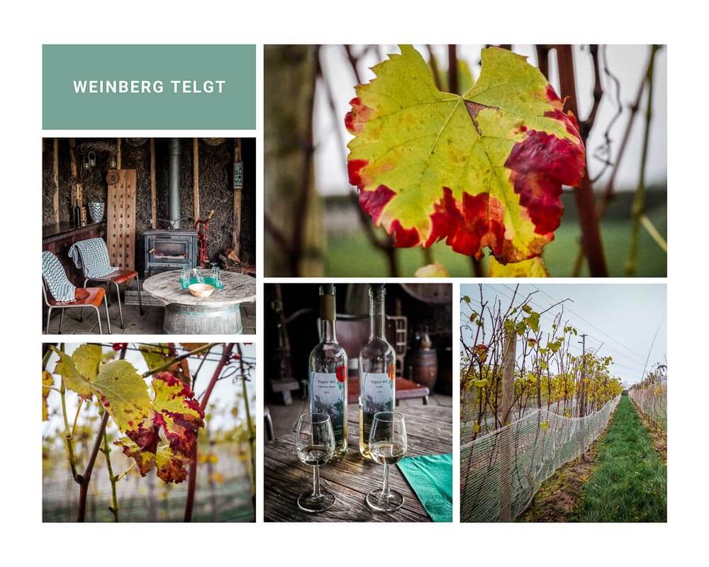 Weinberg Telgt in Ermelo in der Veluwe-Region