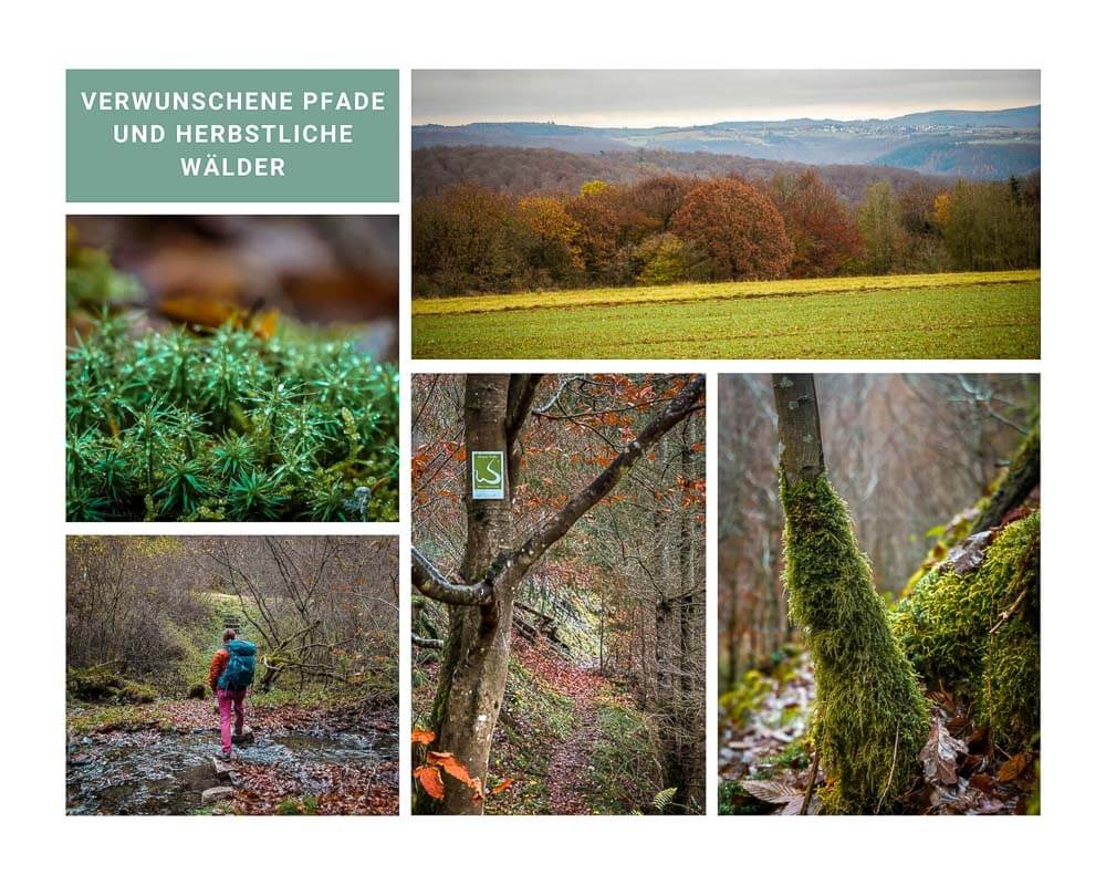 Wispertaunussteig - Verwunschene Pfade und herbstliche W&auml;lder