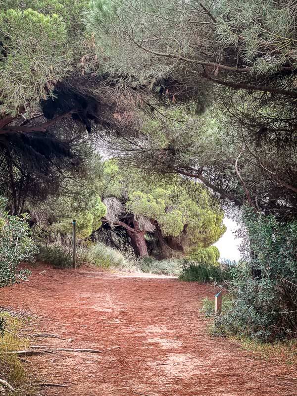 Wandern in der Algarve auf dem Ludo Trail bei Quinta do Lago