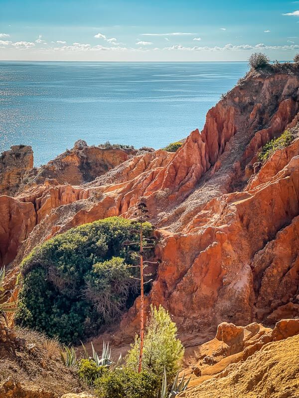 Rotbraune Felsformationen an der s&uuml;dlichen Felsenk&uuml;ste der Algarve bei Carvoeiro
