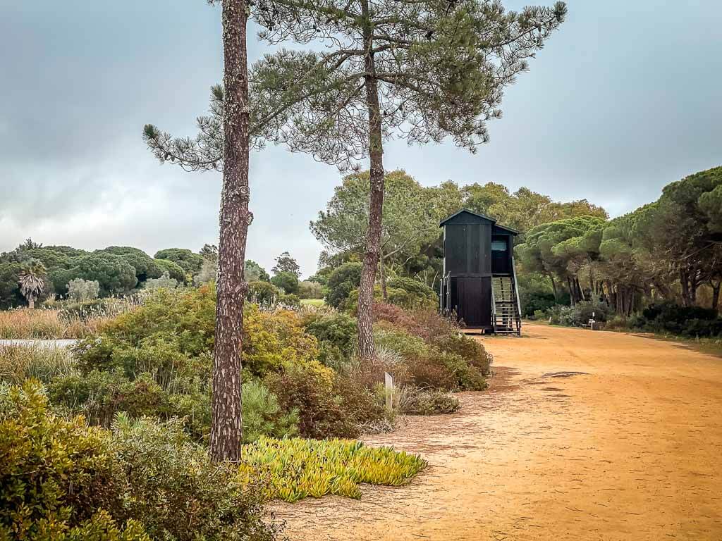 Wandern auf dem Ludo Trail in der Algarve im Naturpark Ria Formosa