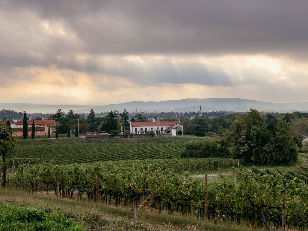 Eine besondere Lichtstimmung auf dem Weg von Cormons nach Gradisca d'Isonzo