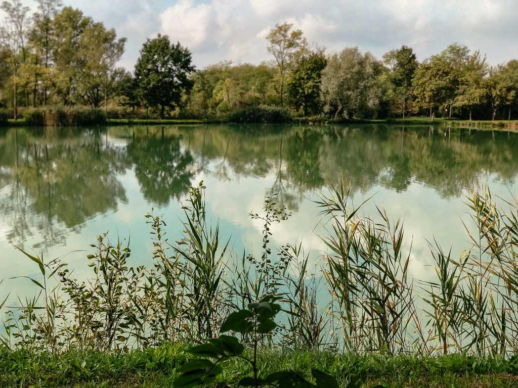 Das Naturschutzgebiet 