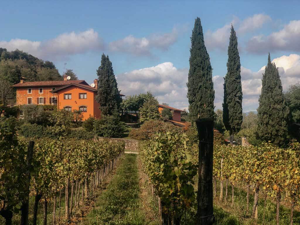 Weinberge in der italienischen Collio Region