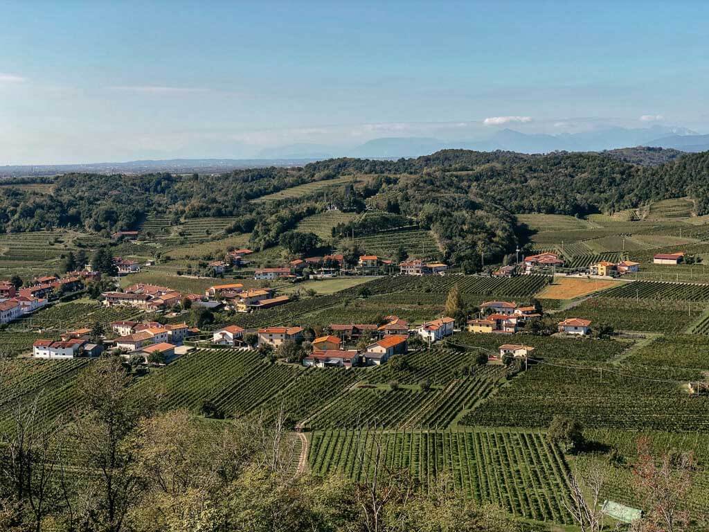 Weinberge und Dorf in der idyllischen Brda Region in Slowenien