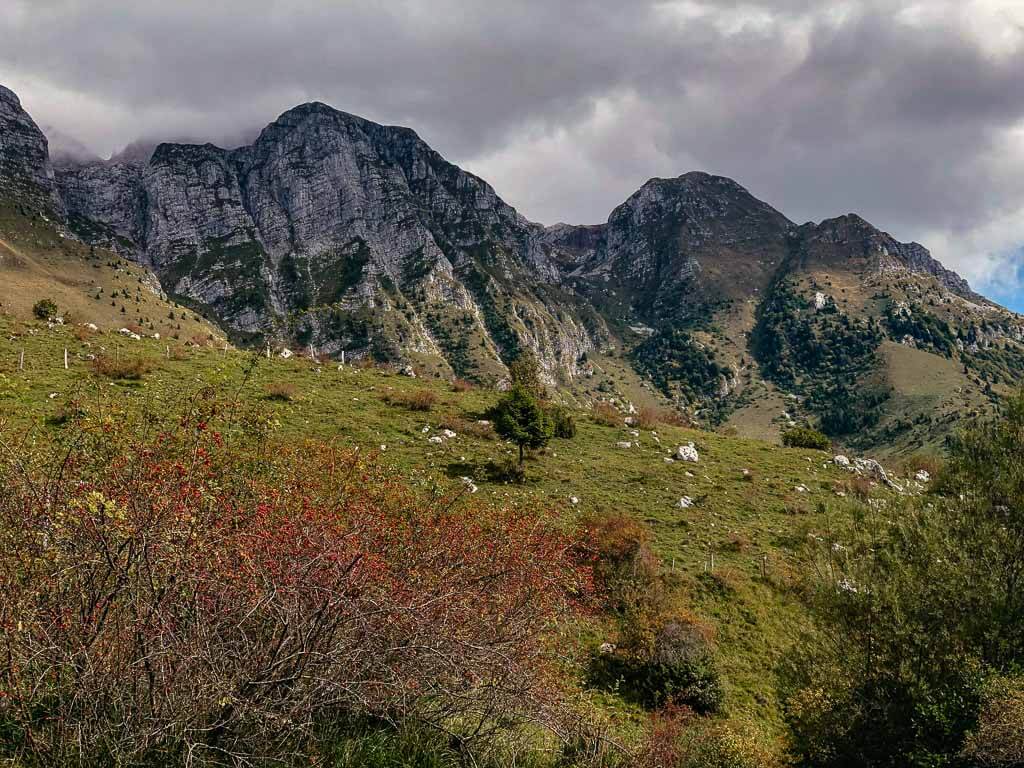 Idyllische Almenlandschaft rund um den Berg Krn im Triglav Nationalpark