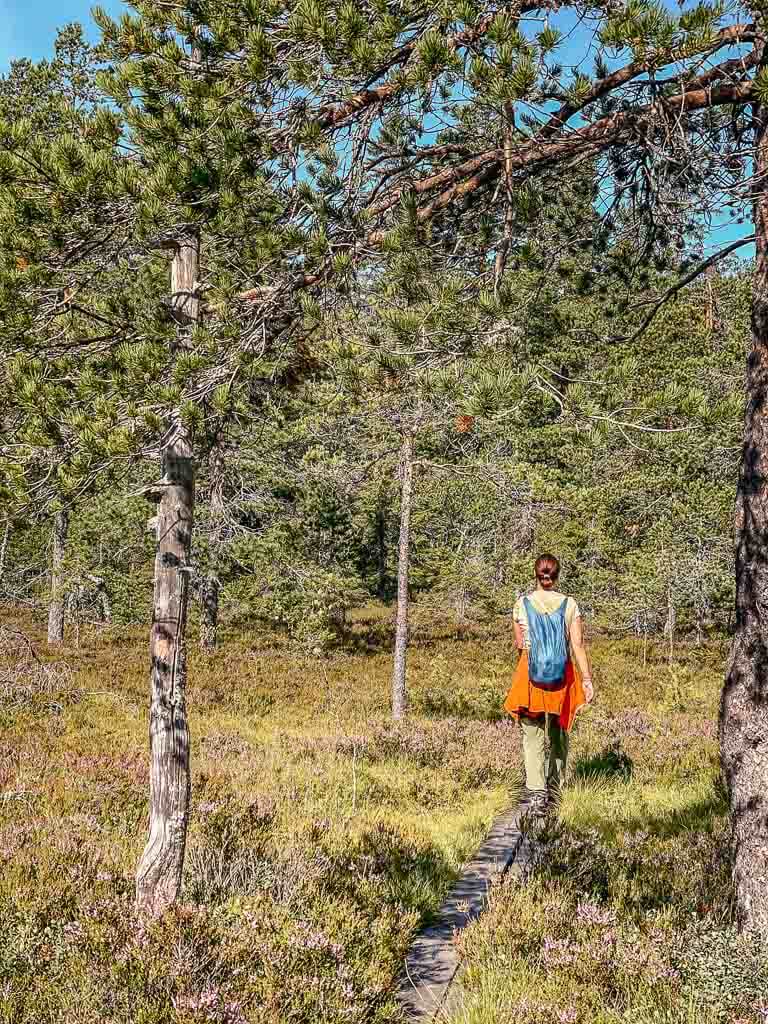 Couchflucht Sabrina Bechtold beim Wandern in Schweden