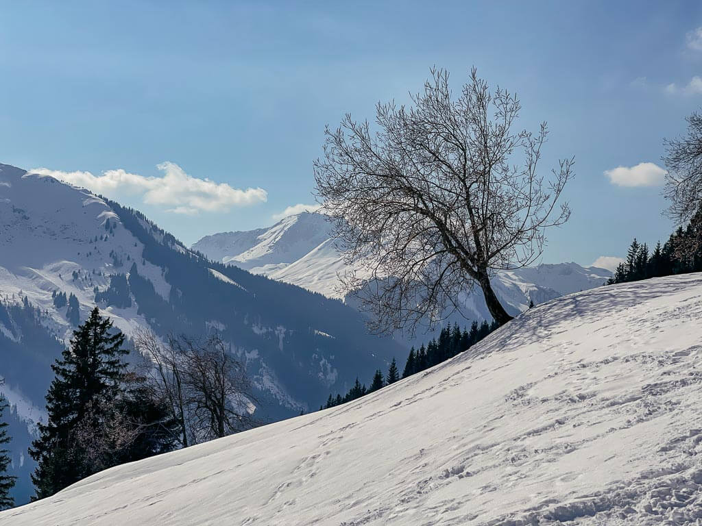Winterurlaub in &Ouml;sterreich in Saalbach Hinterglemm an der Reiterkogelbahn