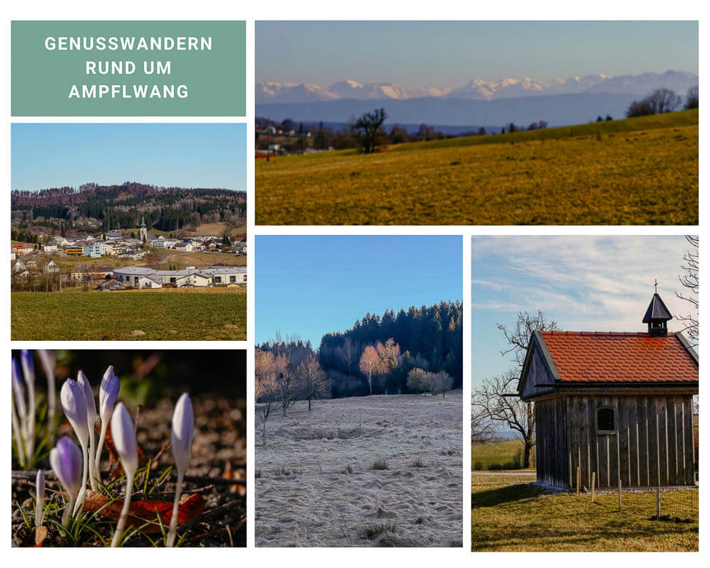 Genusswandern rund um Ampflwang im Hausruckwald von Ober&ouml;sterreich