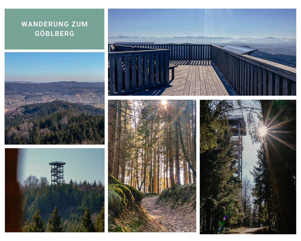 Wanderung zum G&ouml;blberg im Hausruckwald in Ober&ouml;sterreich