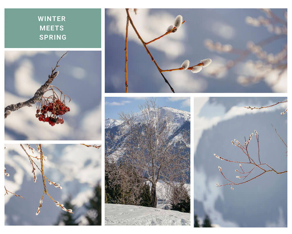 Winterurlaub in &Ouml;sterreich - Schneelandschaft bei Saalbach Hinterglemm