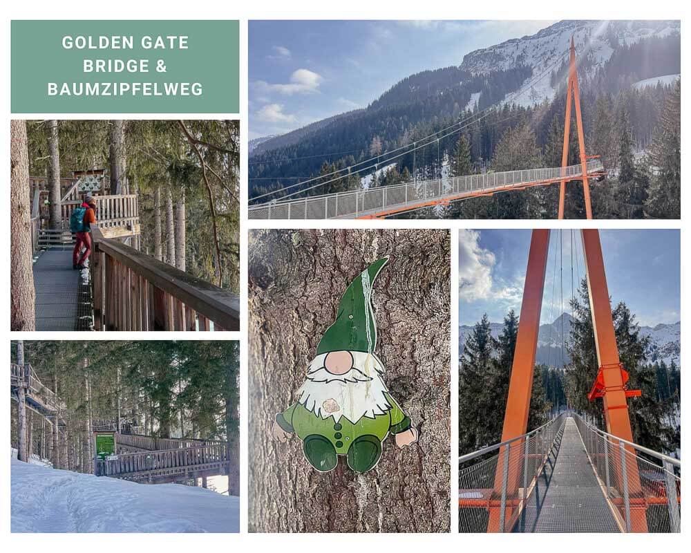 Golden Gate Bridge und Baumzipfelweg im Talschluss von Saalbach Hinterglemm