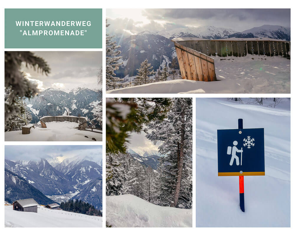 Winterwanderweg Almpromenade bei Gerlosstein im Zillertal