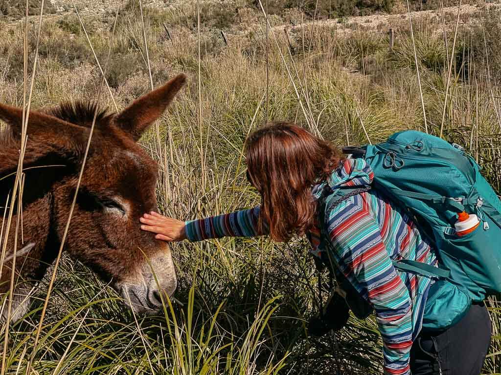 Couchflucht Sabrina Bechtold streichelt einen Esel in der Serra de Tramuntana.
