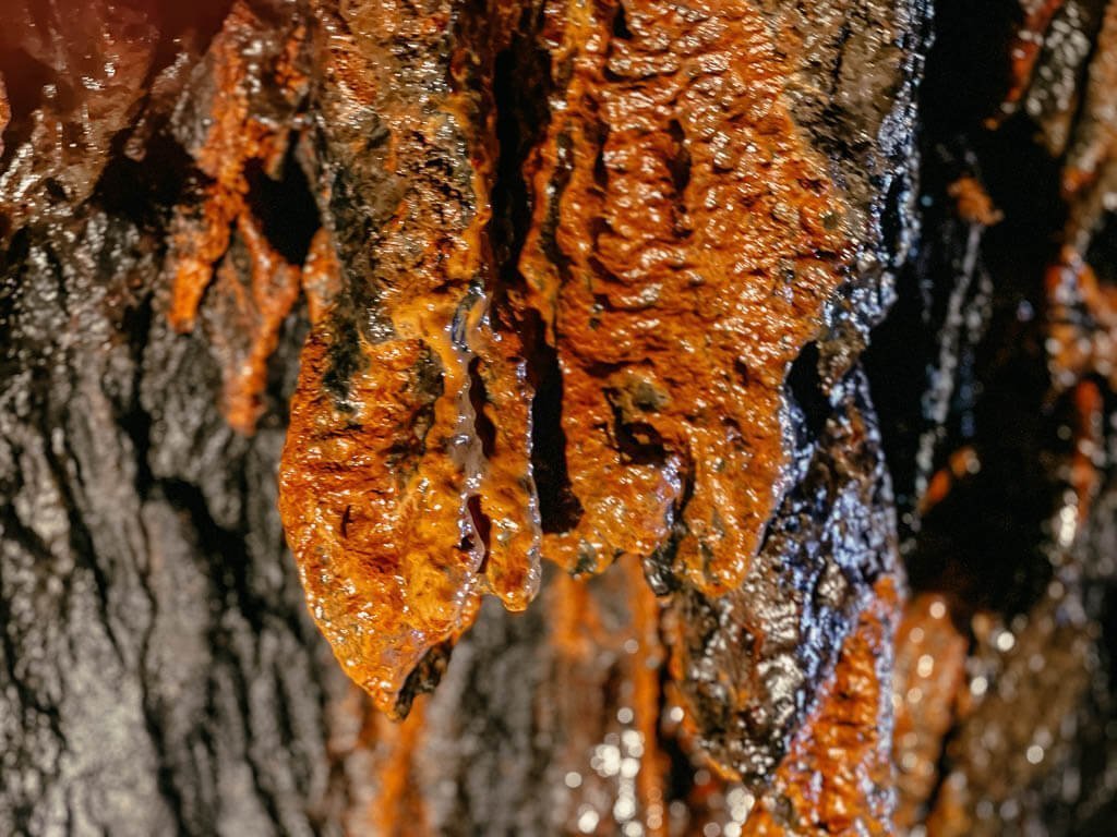 Erzhaltige Felsgesteine, Stalaktiten und Stalagmiten in der Grube Bindweide