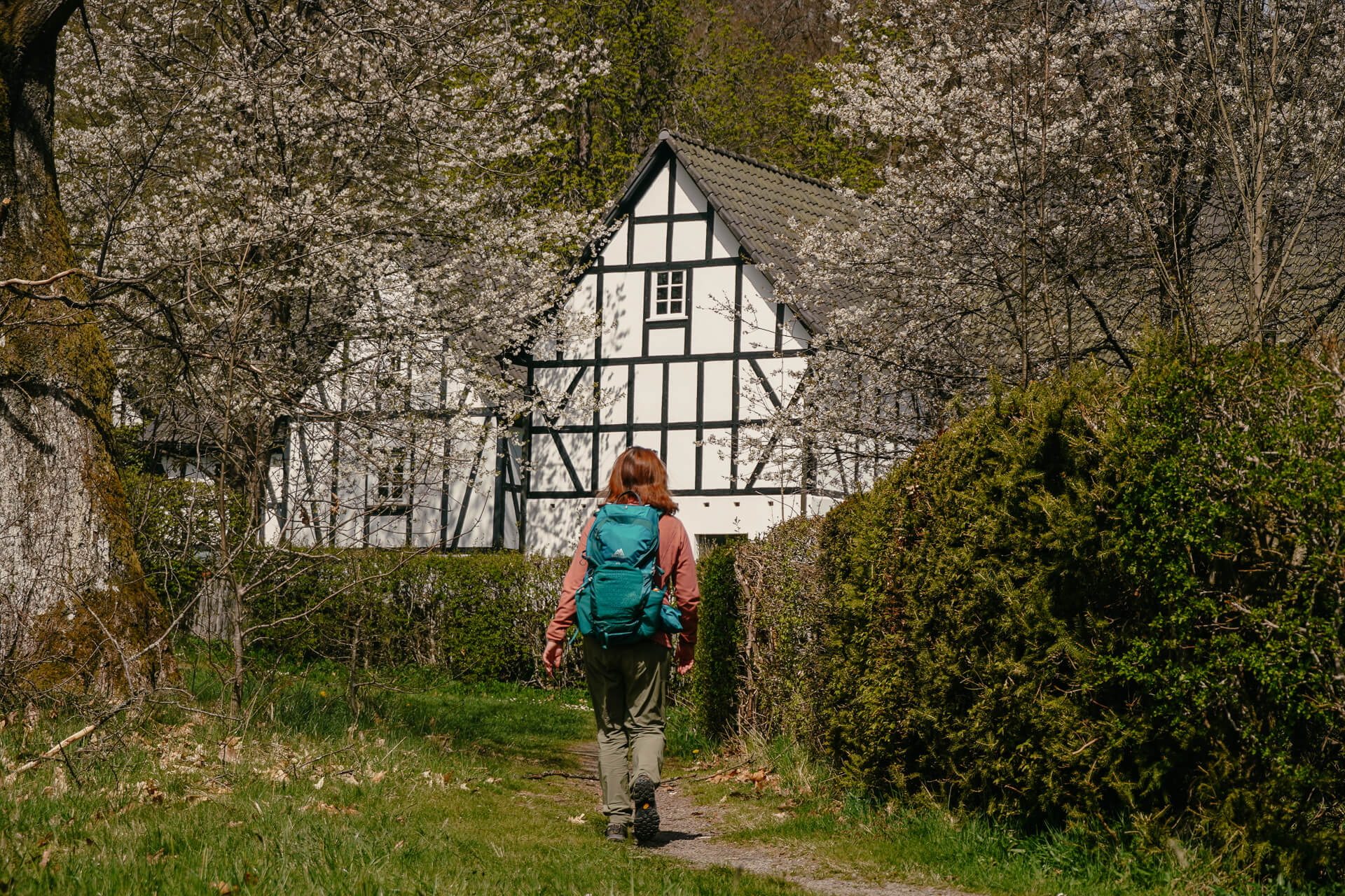 Westerwald-Sieg - Wandern vor Fachwerkidylle auf dem Hexenweg bei Friesenhagen
