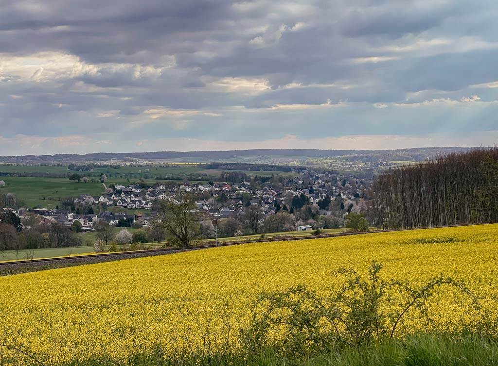 Rapsfeld und Landschaftsidylle im Westerwald