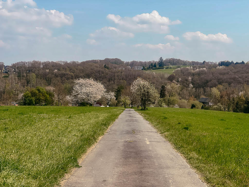 Westerwald Sieg - Wanderweg zum Kloster Marienthal