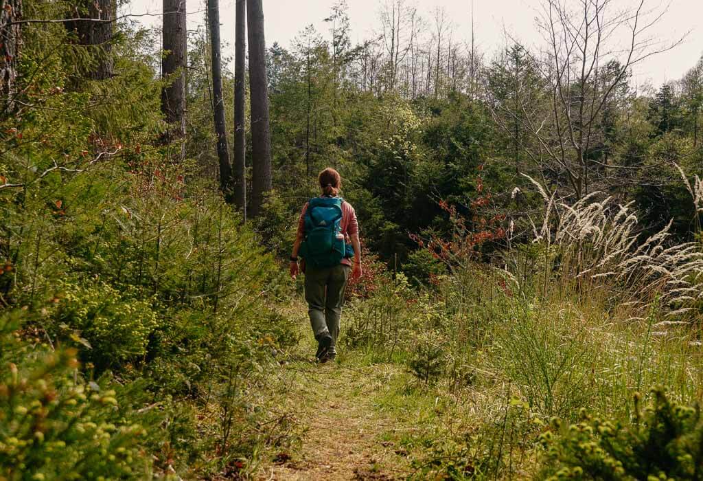 Couchflucht beim Wandern auf dem Klosterdorfweg zum Kloster Marienthal in der Region Westerwald-Sieg