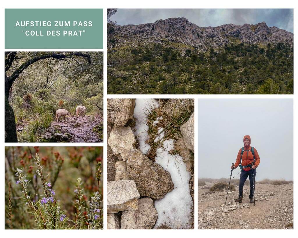 Schneereste in der Serra de Tramuntana am Bergpass Coll des Prat